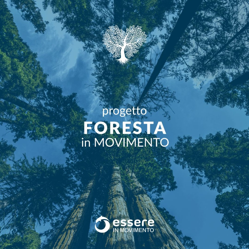 Progetto Foresta in Movimento